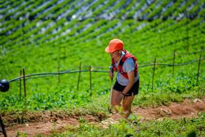 BIB: 
                            <button type="button" onclick="openModal(19164361)" class="btn btn-primary btn-sm float-right btn-popup" data-toggle="modal" data-target=".modal-high-quality">
                        <i class="fas fa-shopping-cart"></i> Add to Cart
                    </button>
                                            <button type="button" onclick="isThisMe(19164361, true)" class="btn btn-success btn-sm float-right btn-popup btn-isme hidden" data-toggle="tooltip" data-placement="bottom" title="นี่คือรูปของคุณใช่ไหม คลิกที่นี่เพื่อเอาเข้าอัลบั้ม">
                        <i class="fas fa-plus"></i> Add to album
                    </button>
                    <button type="button" onclick="isThisMe(19164361, false)" class="btn btn-warning btn-sm float-right btn-popup btn-isnotme hidden">
                        <i class="fas fa-ban"></i> Remove from album
                    </button>